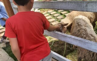 Farm Day, Tempat Wisata di Bandar Lampung Ramah Anak