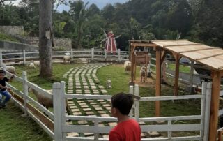 tips liburan bersama anak biar makin seru