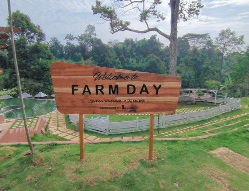 Farm Day, Tempat Wisata Ramah Anak Bandarlampung yang Mengedukasi!